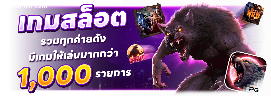 ทดลองเล่นเช็กชี่บาคาร่า